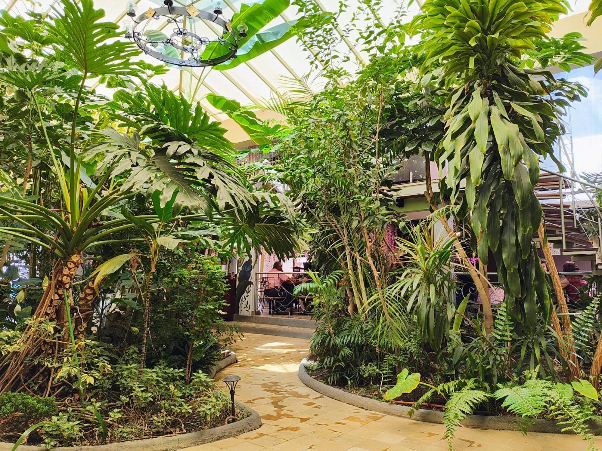 Hotel Jardines Del Centro Сан-Кристобаль-де-Ла-Касас Экстерьер фото
