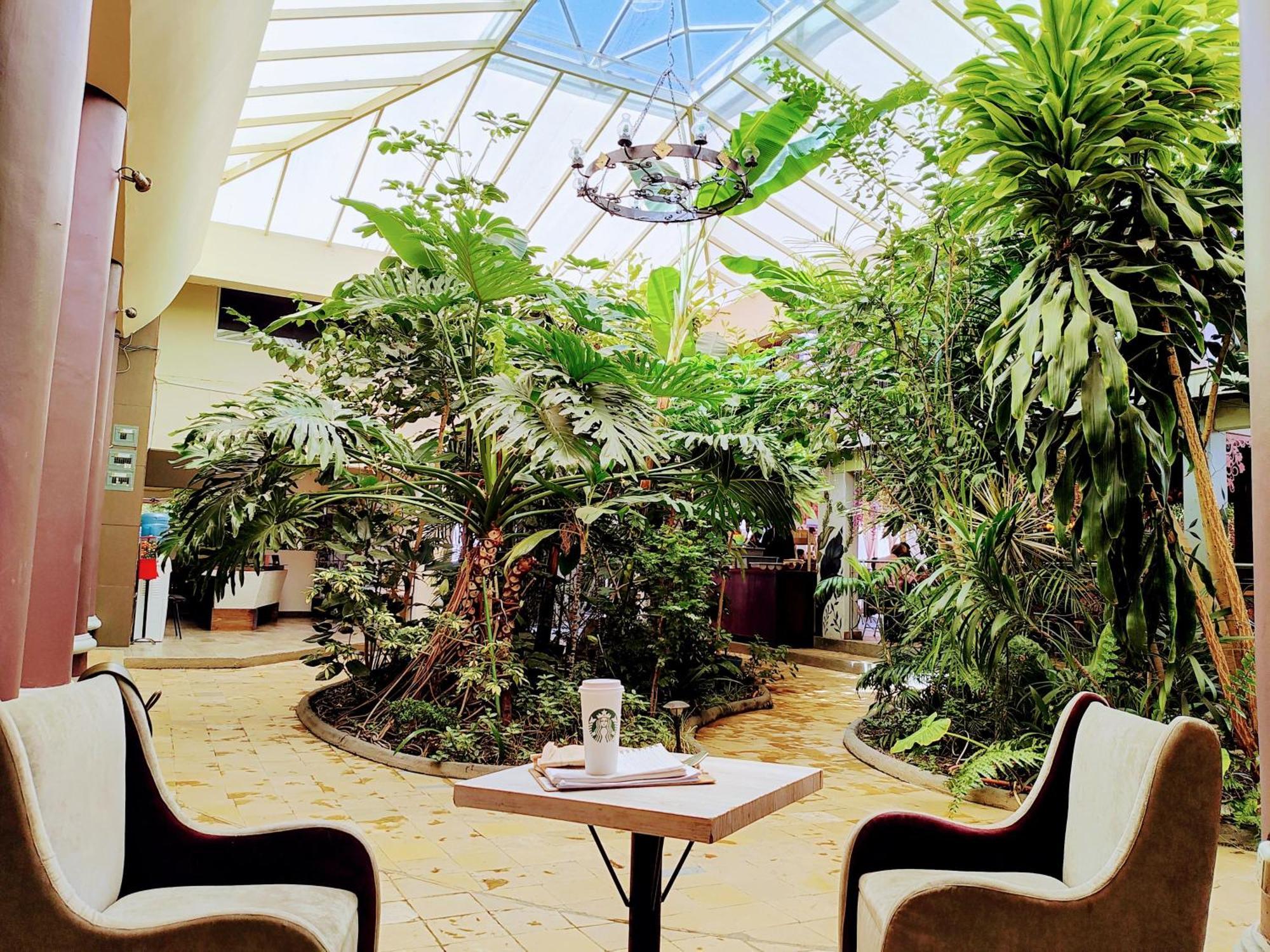 Hotel Jardines Del Centro Сан-Кристобаль-де-Ла-Касас Экстерьер фото